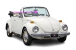 Fit 1973-1979 Vw Beetle 2D Convertible Front Windshield/windscreen Replacement. Fixed Price $390.95.