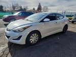 (local Pickup Only) Back Glass Heated Sedan Without Solar Fits 11-16 Elantra 142. Fixed Price $118.65.