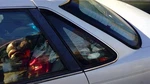 Driver Left Quarter Glass Sedan Excluding Sho Fits 92-95 Taurus 217792. Fixed Price $145.59.