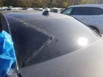 2023 Chrysler 300 Rear Back Glass Only!!! No Shipping. Fixed Price $142.50.