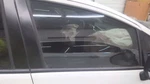 Passenger Right Front Door Glass Fits 15-20 1741847. Fixed Price $90.00.
