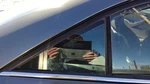 05-10 Pontiac G6 Passenger Right Rear Vent Window Back Door Glass With Frame Oem. Fixed Price $123.75.