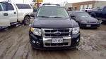 (local Pickup Only) Back Glass 5 Holes In With Lift Handle Fits 08-12 Esca. Fixed Price $119.90.