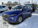 (local Pickup Only) Windshield Glass Without Automatic Defog Fits 22-24 Santa Cr. Fixed Price $299.99.