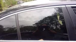 Passenger Right Rear Door Glass Green Tint Fits 11-16 Bmw 528I 22451. Fixed Price $78.20.