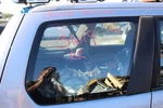 Passenger Right Quarter Glass Fits 03-08 Forester 515652. Fixed Price $86.80.