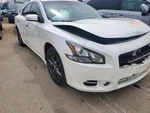 (local Pickup Only) Glass Single Panel Sunroof Fits 12-14 Maxima 1701. Fixed Price $284.91.