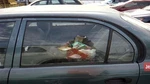 Driver Left Rear Door Glass Sedan Fits 93-97 Corolla 30465436. Fixed Price $110.70.