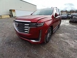 Driver Rear Door Vent Glass Privacy Tint Opt Ako Fits 21-25 Tahoe 12672622. Fixed Price $100.02.
