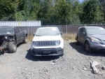 Passenger Right Rear Door Glass Light Tint Fits 15-22 Renegade 30432112. Fixed Price $110.70.