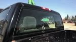 Rear Windshield Window Back Glass Classic Style Creased Door Skin Fits 99-07 Sie. Fixed Price $119.00.