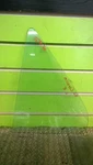 92 Toyota Corolla Dx Sdn Driver Left Rear Vent Glass Oem 1278-16. Fixed Price $70.00.
