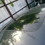 Roof Glass Fits 15-20 Tlx 369812. Fixed Price $150.00.