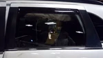 2015 Mitsubishi Outlander Sport Left Rear Door Glass Window 81619. Fixed Price $189.00.