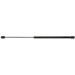 Back Glass Lift Support Strong Arm D 6157. Fixed Price $15.99.