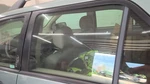 Driver Left Rear Door Glass Tinted Fits 05-07 Freestyle 1722866. Fixed Price $53.99.