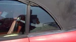 Driver Quarter Glass Convertible Soft Top Fits 94-00 Mustang 239521. Fixed Price $126.39.