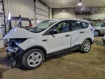 Driver Quarter Glass Green Tint Black Belt Moulding Fits 18-19 Escape 2071174. Fixed Price $90.00.