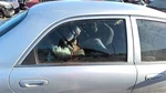 Passenger Right Rear Door Glass Dx Fits 98-02 Mazda 626 31616068. Fixed Price $110.70.