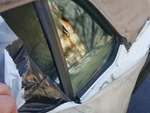 94 Jaguar Xjs Convertible Lh Left Rear Quarter Vent Window Glass. Fixed Price $366.99.