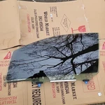 Driver Left Front Door Glass Fits 10-12 Lexus HS250H 345641 Tinted. Fixed Price $95.00.