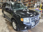 (local Pickup Only) Roof Glass Fits 09-12 Escape 723769. Fixed Price $110.44.