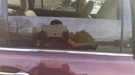 Passenger Rear Door Glass Privacy Tint Fits 16-19 Pilot 461100. Fixed Price $135.00.