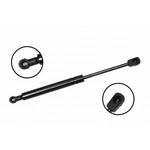 86847 Fcs Hood, Liftgate Support Driver Passenger Side Right Left. Fixed Price $27.57.