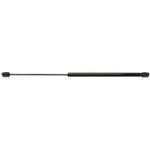 Back Glass Lift Support Strong Arm 6157. Fixed Price $19.14.