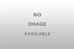 Dorman 741306 Window Regulator Replacement For Smooth Operation. Fixed Price $90.99.