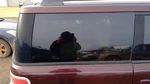 Passenger Right Quarter Glass Privacy Tint Fits 09-17 Flex 275813. Fixed Price $144.79.