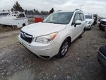 Passenger Rear Door Glass With Privacy Tint Fits 14-16 Forester 12717513. Fixed Price $114.02.