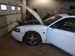 Windshield Glass Coupe Fits 00-04 Mustang 2105443. Fixed Price $118.75.