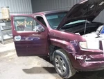 Back Glass Assembly With Privacy Tint Fits 06-14 Ridgeline 2148416. Fixed Price $118.75.
