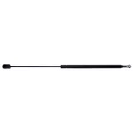Back Glass Lift Support Strong Arm 4676. Fixed Price $23.77.
