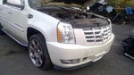 Passenger Rear Door Glass With Privacy Tint Fits 07-14 Escalade Esv 1074882. Fixed Price $99.90.
