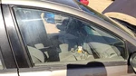 2000-2005 Dodge Neon Passenger Right Front Side Window Door Glass Oem 05115680AA. Fixed Price $118.72.
