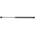 Back Glass Lift Support Strong Arm 6260. Fixed Price $38.36.