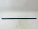 2010 2011 2012 2013 2014 2015 2016 Porsche Panamera Front Rh Door Belt Molding. Fixed Price $65.34.