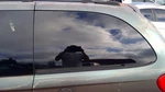 Driver Quarter Glass 119" Wb Power Privacy Tint Fits 01-07 Caravan 281389. Fixed Price $165.59.