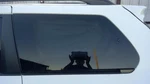 Driver Quarter Glass Antenna Privacy Tint Fits 11-20 Sienna 364841. Fixed Price $135.00.