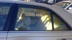 Driver Left Rear Door Glass Fits 97-01 Infiniti Q45 27639. Fixed Price $150.00.