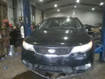 Back Glass Sedan Fits 10-13 Forte 115049. Fixed Price $75.00.