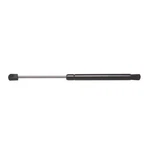 510-672 Delco Back Glass Lift Support Driver Passenger Side For Chevy. Fixed Price $50.95.