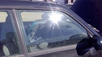 1998-2002 Subaru Forester Passenger Right Front Side Window Door Glass Oem. Fixed Price $103.31.