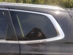 20-22 Kia Telluride Oem Driver Left Rear Quarter Glass Window Satin Chrome. Fixed Price $89.25.