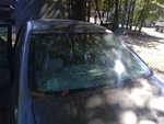 Back Glass Diversity Antenna With Ultraviolet Fits 02-06 Camry 3596436. Fixed Price $75.00.