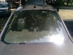 Back Glass Heated Sedan Fits 11-19 Fiesta 3562280. Fixed Price $85.00.