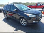 (local Pickup Only) Roof Glass Rear Stationary Fits 13-19 Escape 702545. Fixed Price $142.40.