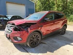 Driver Quarter Glass Privacy Tint Black Belt Moulding Fits 13-17 Escape 2126276. Fixed Price $126.00.
